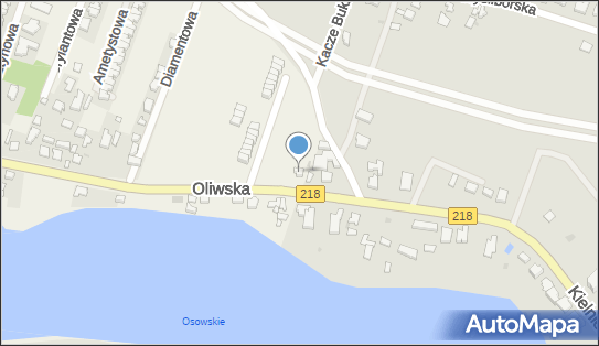 5891792139, Joanna Pługowska Przedsiębiorstwo Handlowo- Usługowe Autokomfort 