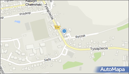 Joanna Welz, ul. Tysiąclecia 21, Radzyń Chełmiński 87-220 - Przedsiębiorstwo, Firma, NIP: 8741615839