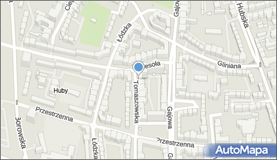 Joanna, Tomaszowska 2, Wrocław 50-523 - Przedsiębiorstwo, Firma, NIP: 8992168065