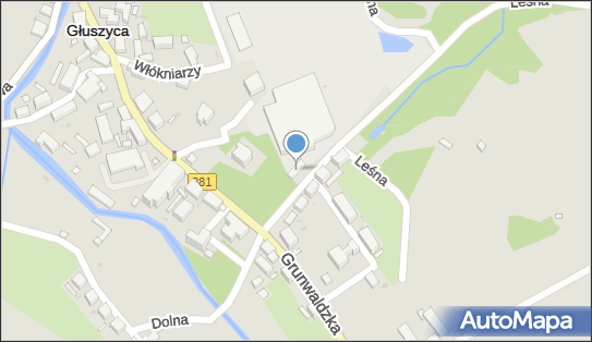 John Cotton Europe, Leśna 3, Głuszyca 58-340 - Przedsiębiorstwo, Firma, numer telefonu, NIP: 8862319117