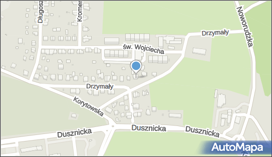 Joker Guze Ryszard Guze Julia, ul. Michała Drzymały 30, Kłodzko 57-300 - Przedsiębiorstwo, Firma, NIP: 8831336391