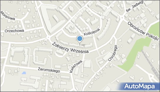 9151454620, Joker Mariusz Chyliński 