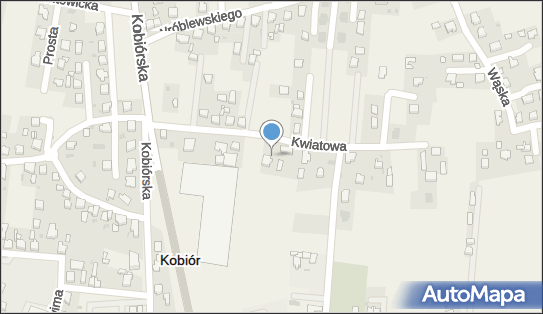 Józef Janas Prace Leśne i Zagospodarowanie Terenów Zieleni 43-210 - Przedsiębiorstwo, Firma, NIP: 6461600646