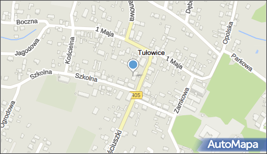 9910479205, Firma Produkcyjno Handlowo Usługowa 