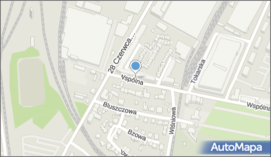 Justyna Stępień, Wspólna 21, Poznań 61-479 - Przedsiębiorstwo, Firma, NIP: 7773176348
