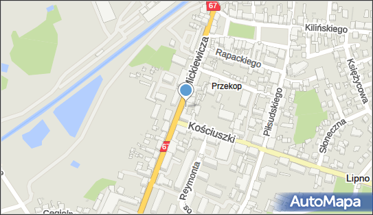 Justyna Waśkiewicz, ul. Mickiewicza 25, Lipno 87-600 - Przedsiębiorstwo, Firma, NIP: 8931053333