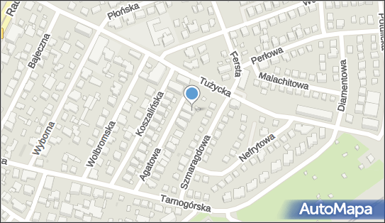 017395695, Tuora Tomasz 