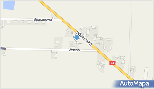 K&ampM Magdalena Nowak, Wieluńska 10, Walichnowy 98-420 - Przedsiębiorstwo, Firma, NIP: 9970092220