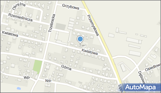 Kaczor w., Dobroszyce, Kwiatowa 21, Dobroszyce 56-410 - Przedsiębiorstwo, Firma, NIP: 9111005755