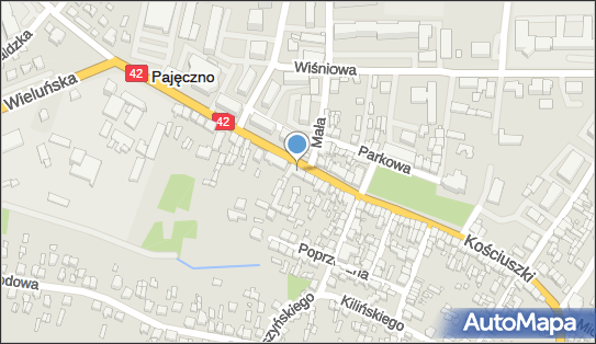 Kaisa, ul. Kościuszki 67/69, Pajęczno 98-330 - Przedsiębiorstwo, Firma, numer telefonu, NIP: 7722094847