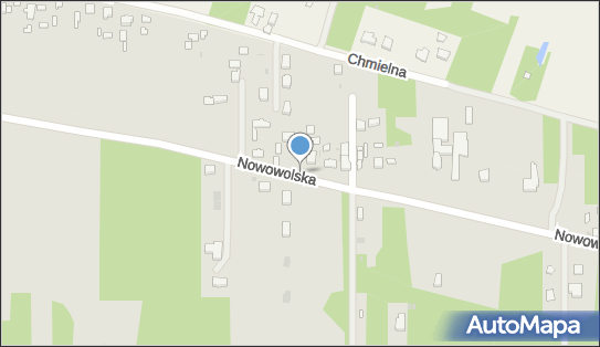 101667619, Kaja Katarzyna Gielec 