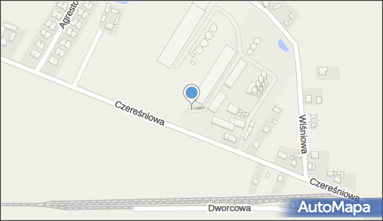 Kalinowski, Czereśniowa 10, Kaźmierz 64-530 - Przedsiębiorstwo, Firma, numer telefonu, NIP: 7872080580