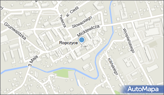 Kaludia, Rynek 5, Ropczyce 39-100 - Przedsiębiorstwo, Firma, NIP: 8181466366