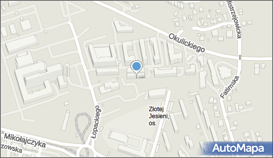 Kami Biuro Usług Celnych, ul. gen. Leopolda Okulickiego 51B 31-637 - Przedsiębiorstwo, Firma, NIP: 6991513257