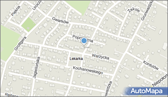 Kamil Żak, Osiedlowa 1, Wieliczka 32-020 - Przedsiębiorstwo, Firma, NIP: 6832010756