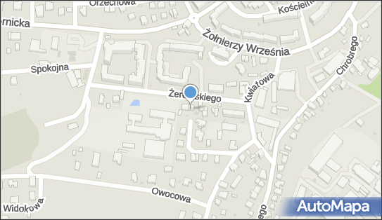 Kamila Kosowska, ul. Stefana Żeromskiego 9a, Trzebnica 55-100 - Przedsiębiorstwo, Firma, NIP: 9151186303