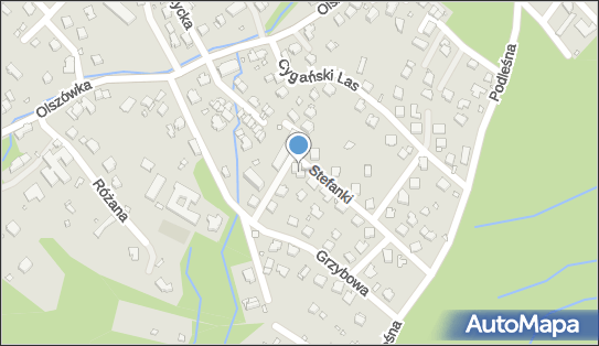 Kamiński i Bredy Kamiński Przemysław Bredy Bartosz, Stefanki 6 43-309 - Przedsiębiorstwo, Firma, NIP: 5471840239