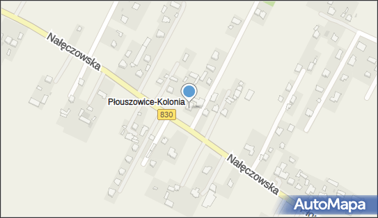 Kamiński Sylwester, Płouszowice-Kolonia 73, Płouszowice-Kolonia 21-008 - Przedsiębiorstwo, Firma, NIP: 7122337282