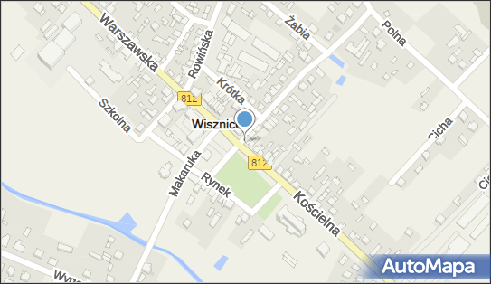 5391010501, Alina Butrym Kantor Wymiany Walut 