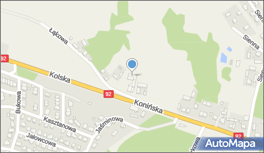 Kapera, Konińska 1, Brzeźno 62-513 - Przedsiębiorstwo, Firma, numer telefonu, NIP: 6652309212