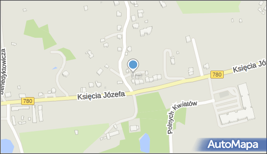 Kapitał, Wodociągowa 52, Kraków 30-205 - Przedsiębiorstwo, Firma, numer telefonu, NIP: 9452166956