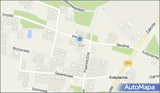 8891230118, Kapiteam - Marcin Zachwieja 