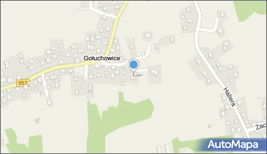 Karabet Hayri Stefanov, Gołuchowice 58, Gołuchowice 32-052 - Przedsiębiorstwo, Firma, NIP: 6252462387