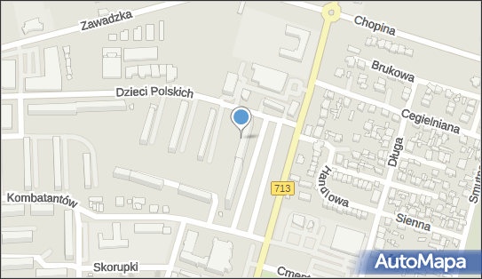 Karina Dębowska, Dzieci Polskich 1, Tomaszów Mazowiecki 97-200 - Przedsiębiorstwo, Firma, NIP: 7732371225
