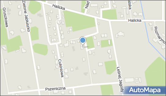 9661515390, Kakadu Karol Kowalewicz 