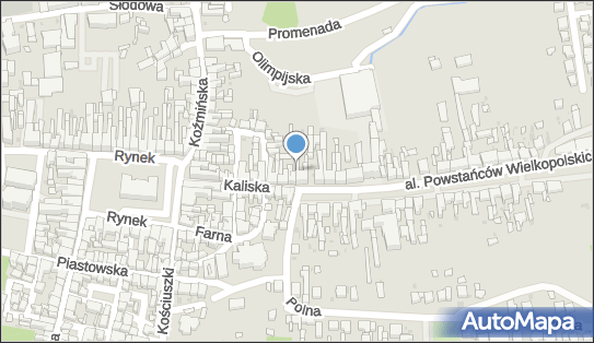 6211309737, Bortech Serwis Karol Piechocki 