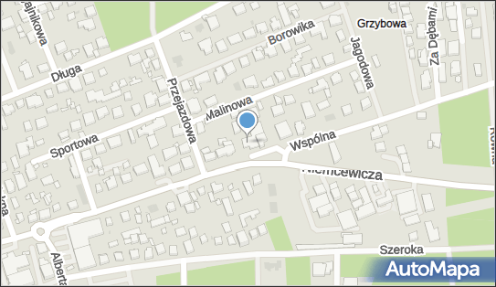 Karol Zalewski Auto-Service Zalewski Karol, ul. Wspólna (1) 49 05-075 - Przedsiębiorstwo, Firma, NIP: 8222013852
