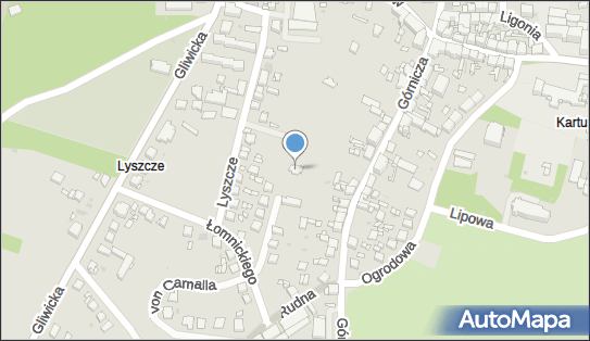Kartoplan, ul. Lyszcze 24A, Tarnowskie Góry 42-600 - Przedsiębiorstwo, Firma, NIP: 6451064614
