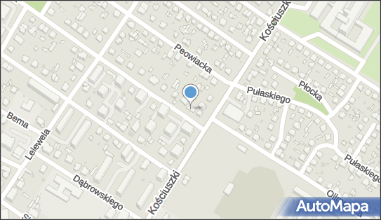Katarzyna Borowska - Osmolak, Chodkiewicza 2a, Kutno 99-300 - Przedsiębiorstwo, Firma, NIP: 9710649973