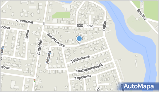 8351115460, Indywidualna Praktyka Pielęgniarska Katarzyna Jackowska 