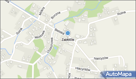 5481521091, Mazur Katarzyna 