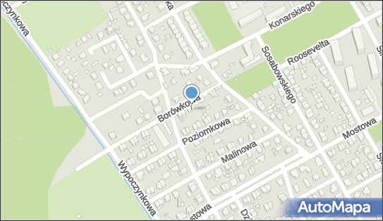 Katarzyna Popławska, Borówkowa 9, Żyrardów 96-300 - Przedsiębiorstwo, Firma, NIP: 8381701808