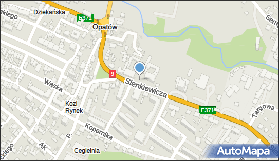 Kawiarenka Internetowa Cafe Play, ul. Henryka Sienkiewicza 11 27-500 - Przedsiębiorstwo, Firma, NIP: 8631000551