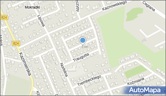 7161070104, Kazimierz Czarnecki 