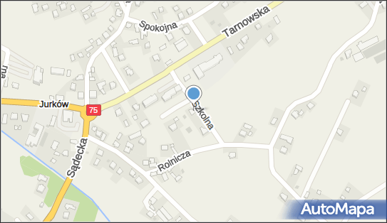 8691124601, Kazimierz Nowak Agat 