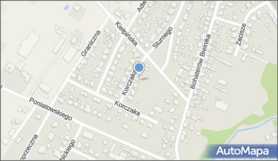 Kazimierz Wajs, Sturnego 8, Wolsztyn 64-200 - Przedsiębiorstwo, Firma, NIP: 9231318161