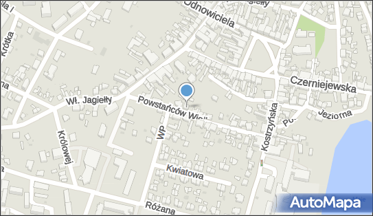 Kellner Ireneusz Nerkel, ul. Powstańców Wielkopolskich 20 62-010 - Przedsiębiorstwo, Firma, NIP: 7841131603