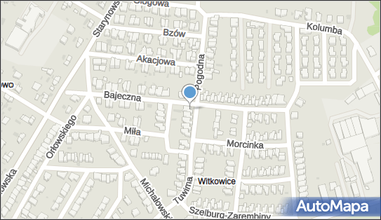Kierowca, Tuwima Juliana 2, Kołobrzeg 78-100 - Przedsiębiorstwo, Firma, NIP: 6711067970