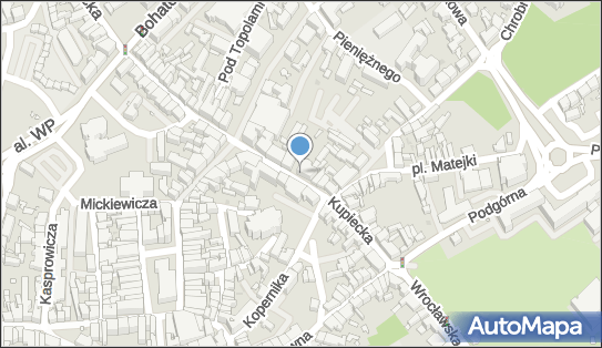 Kilic, ul. Kupiecka 19, Zielona Góra 65-001 - Przedsiębiorstwo, Firma, NIP: 9731017132