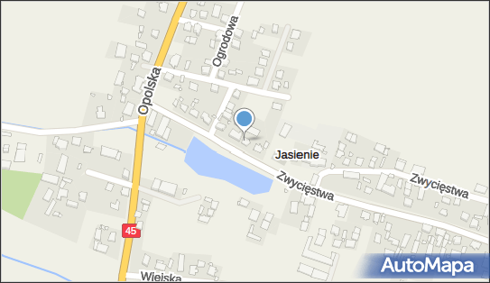 Kinder Urszula Przedsiębiorstwo Handlowo - Usługowe Ula, Jasienie 46-280 - Przedsiębiorstwo, Firma, NIP: 7511234257