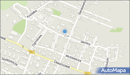 9691104964, Kinsoft Michał Kinek 