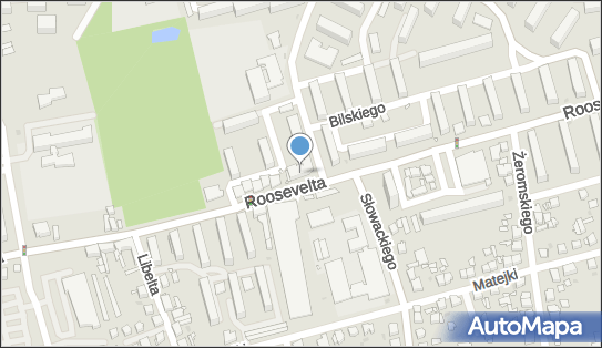 Kiosk Art Spożywcze, ul. Franklina Roosevelta 63, Gniezno 62-200 - Przedsiębiorstwo, Firma, NIP: 7841095184