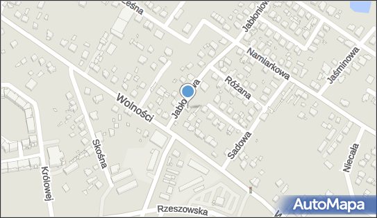 6252024859, Kiosk Handlowy Szczęśniak Maciej 