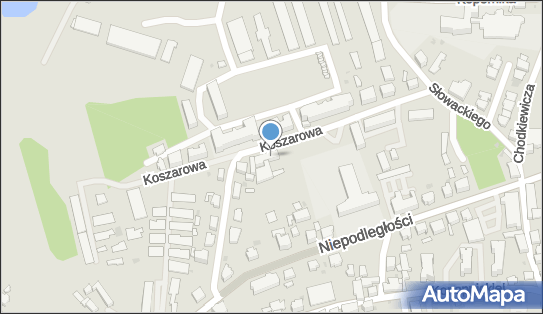 9241080956, Kiosk Spożywczo-Przemysłowy Stanisława Litwic 