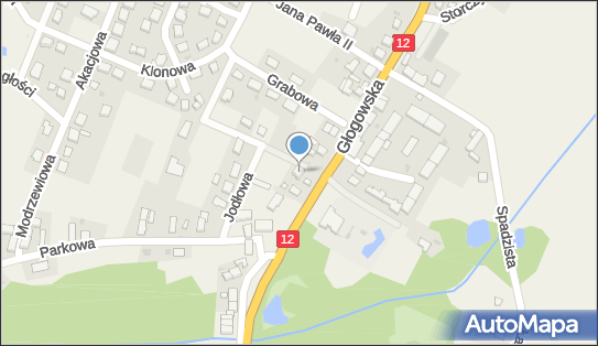 390053095, Kiosk Spożywczo-Rolny Babiarz Alicja 