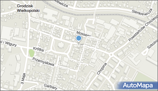 Kiosk Spożywczo Warzywniczy Grodzisk Wielkopolski 62-065 - Przedsiębiorstwo, Firma, NIP: 7881430424
